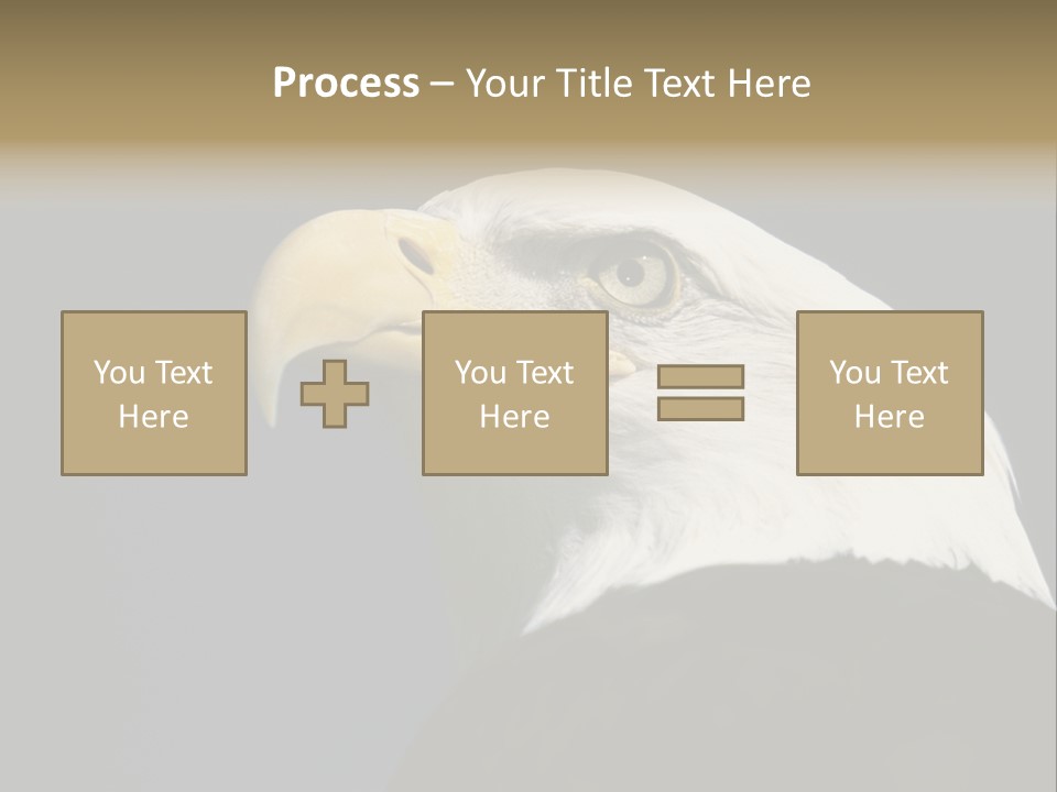 Civic Detailed Public Spirit PowerPoint Template