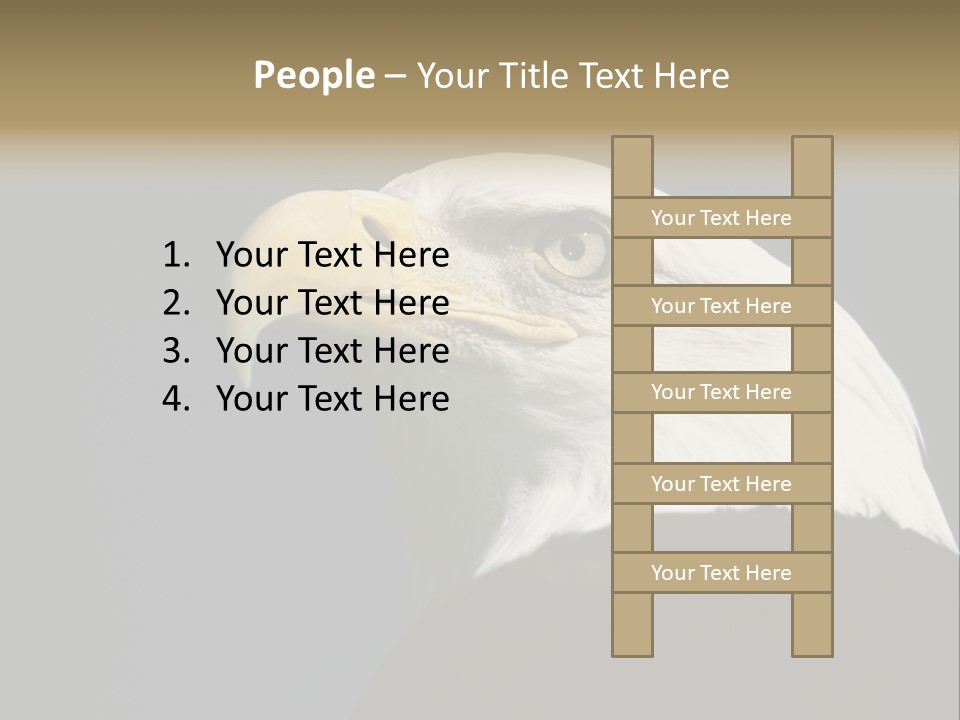 Civic Detailed Public Spirit PowerPoint Template