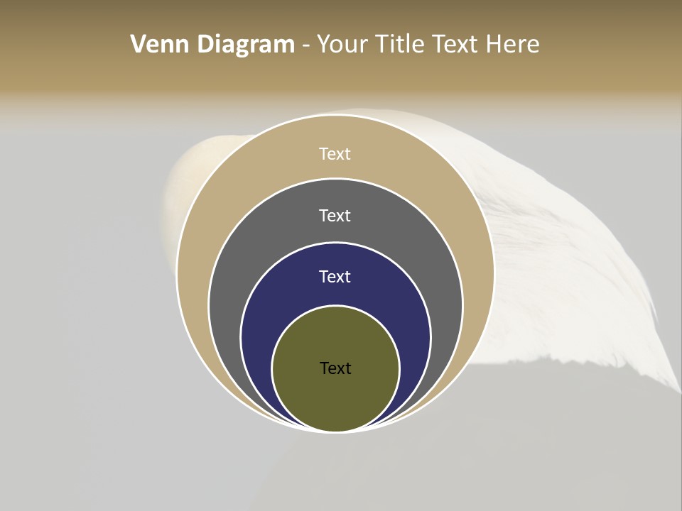 Civic Detailed Public Spirit PowerPoint Template