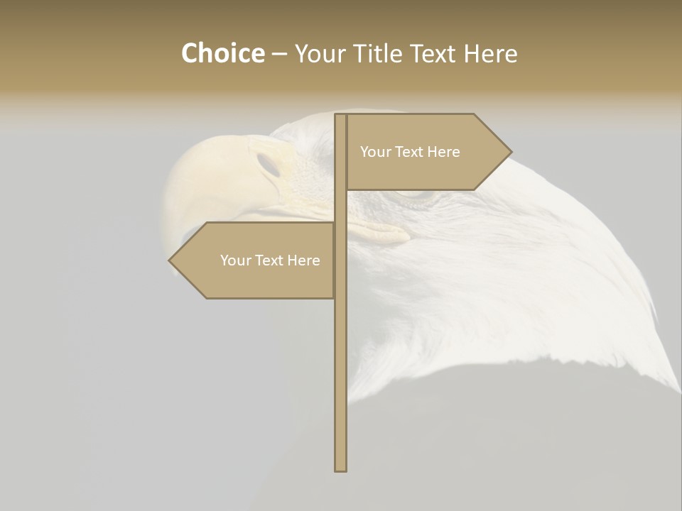 Civic Detailed Public Spirit PowerPoint Template