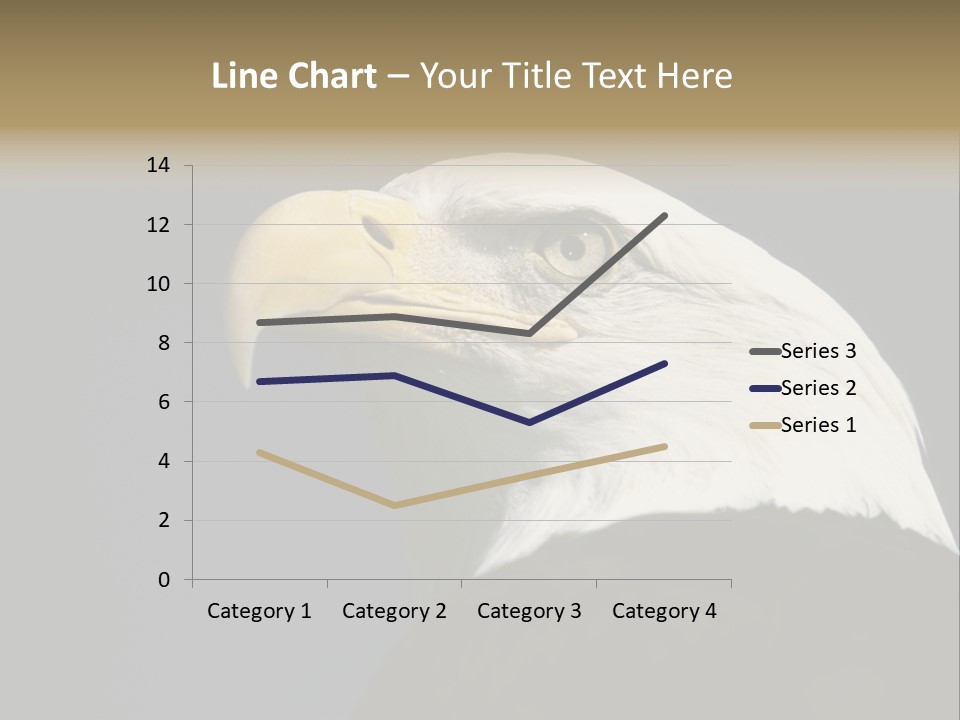 Civic Detailed Public Spirit PowerPoint Template