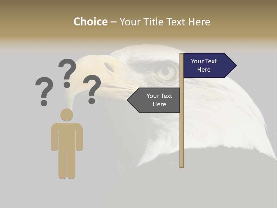 Civic Detailed Public Spirit PowerPoint Template