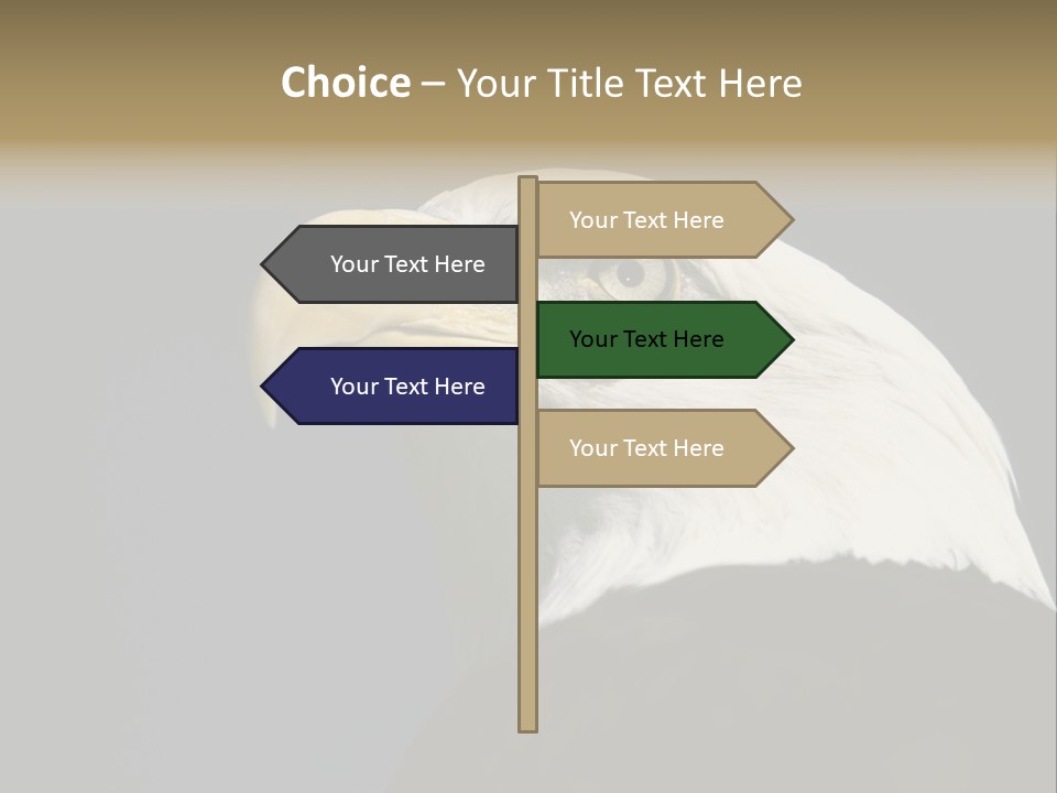 Civic Detailed Public Spirit PowerPoint Template