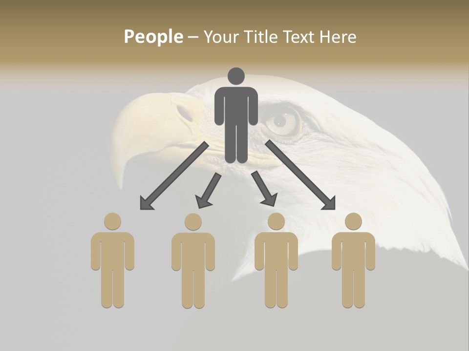 Civic Detailed Public Spirit PowerPoint Template