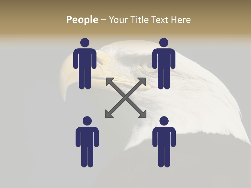 Civic Detailed Public Spirit PowerPoint Template