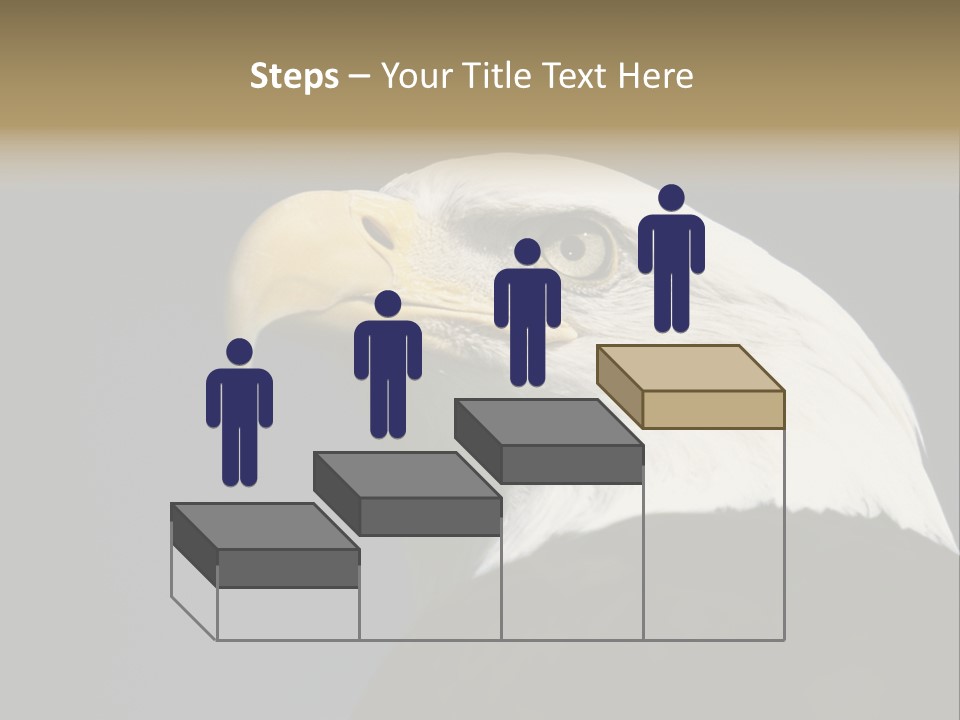 Civic Detailed Public Spirit PowerPoint Template