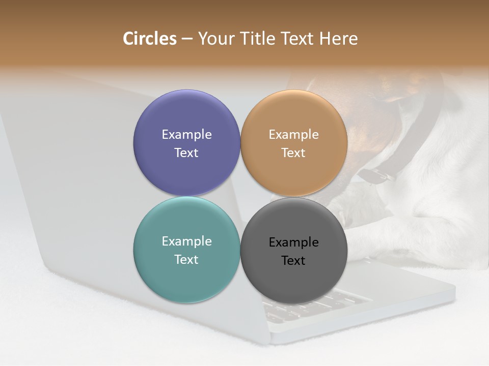 Cute Www Hacker PowerPoint Template