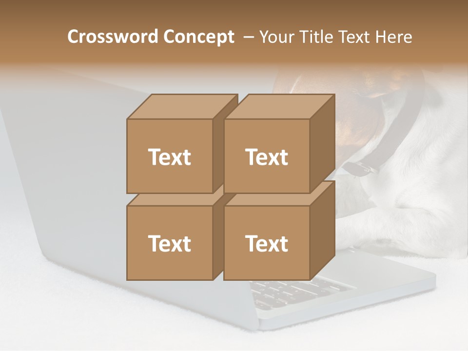 Cute Www Hacker PowerPoint Template