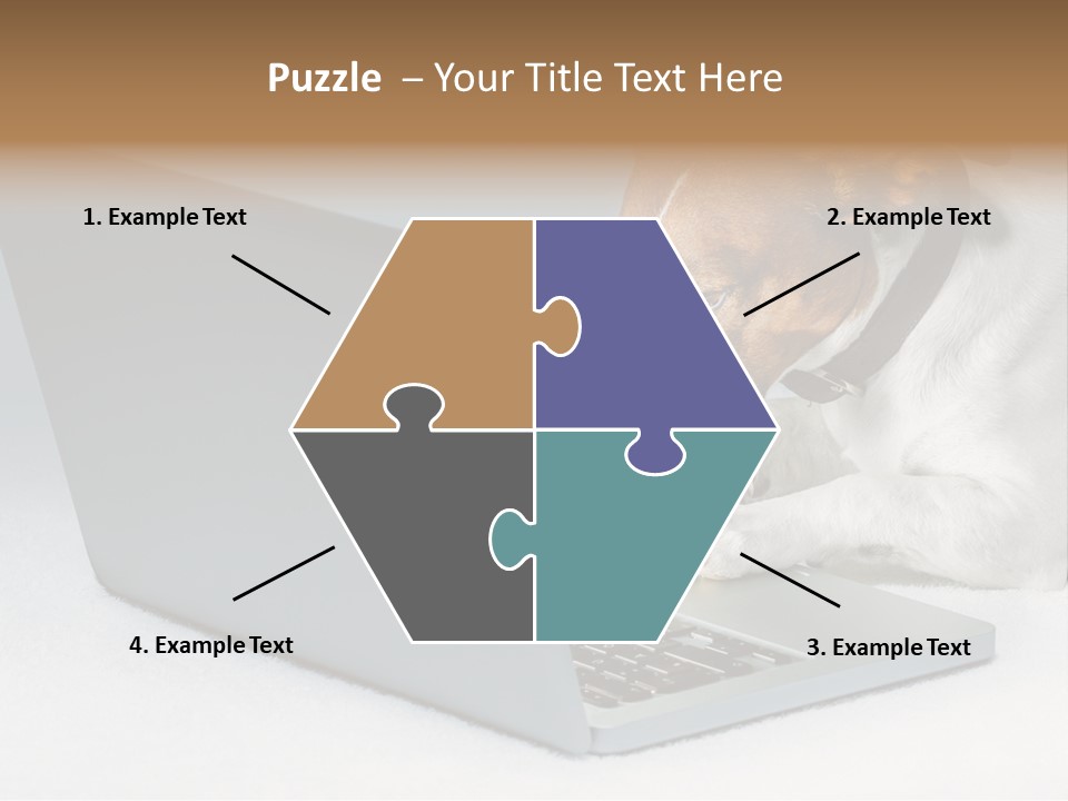 Cute Www Hacker PowerPoint Template