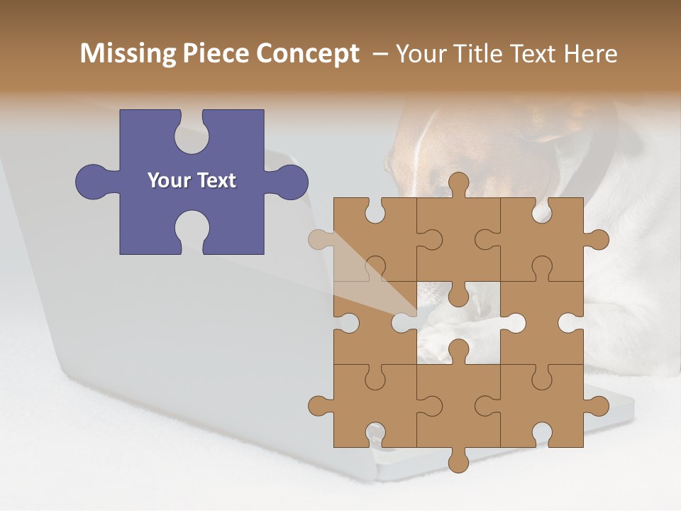 Cute Www Hacker PowerPoint Template