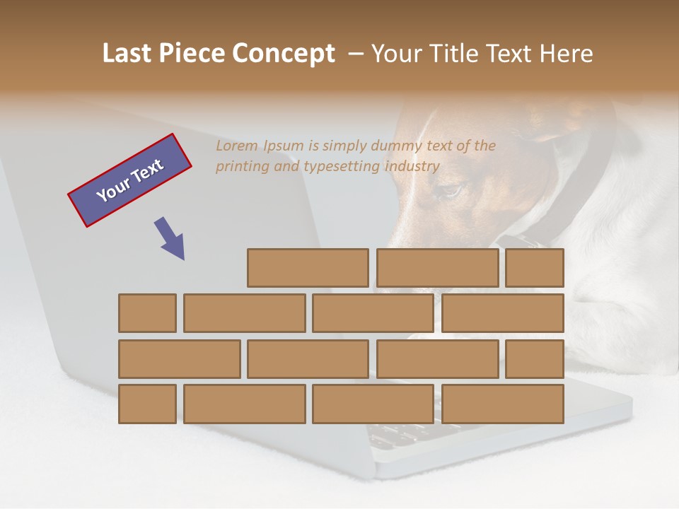 Cute Www Hacker PowerPoint Template