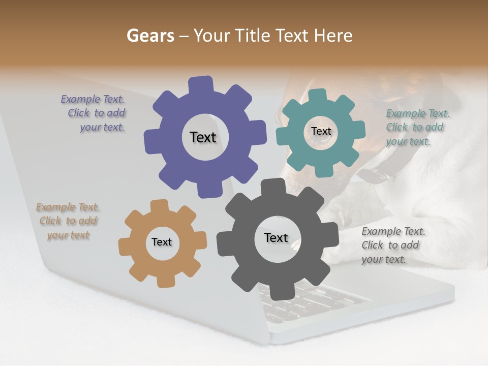 Cute Www Hacker PowerPoint Template