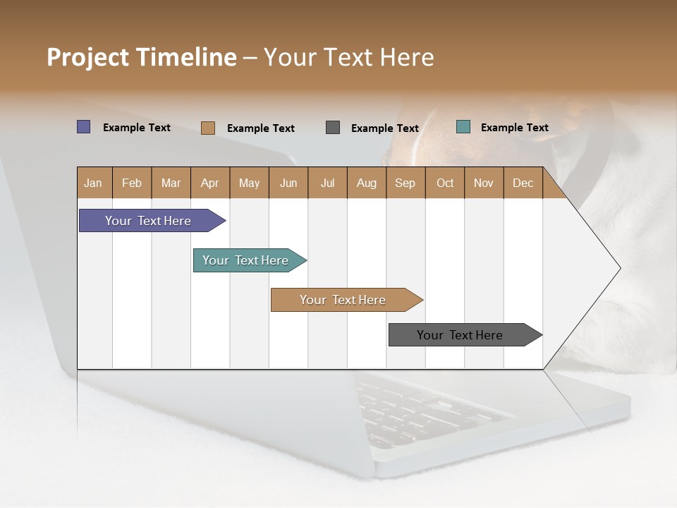 Cute Www Hacker PowerPoint Template