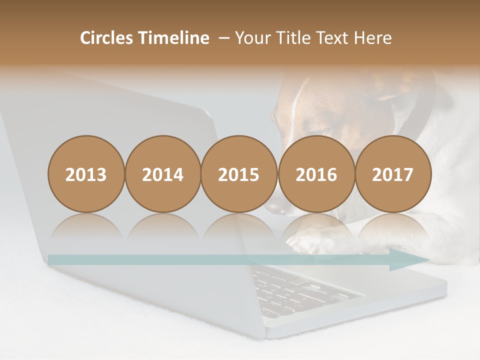 Cute Www Hacker PowerPoint Template