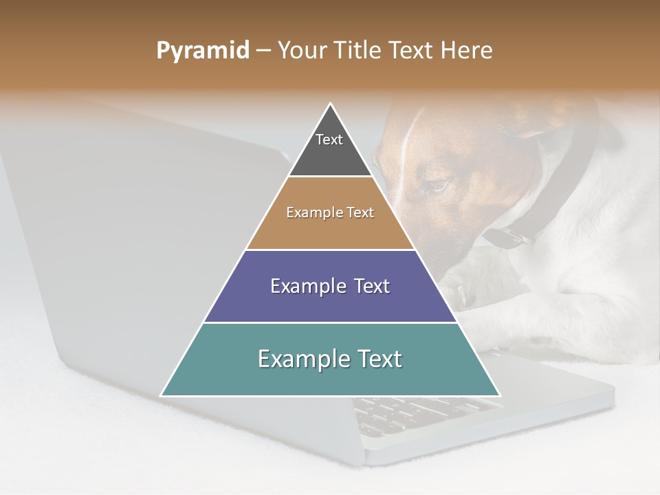 Cute Www Hacker PowerPoint Template