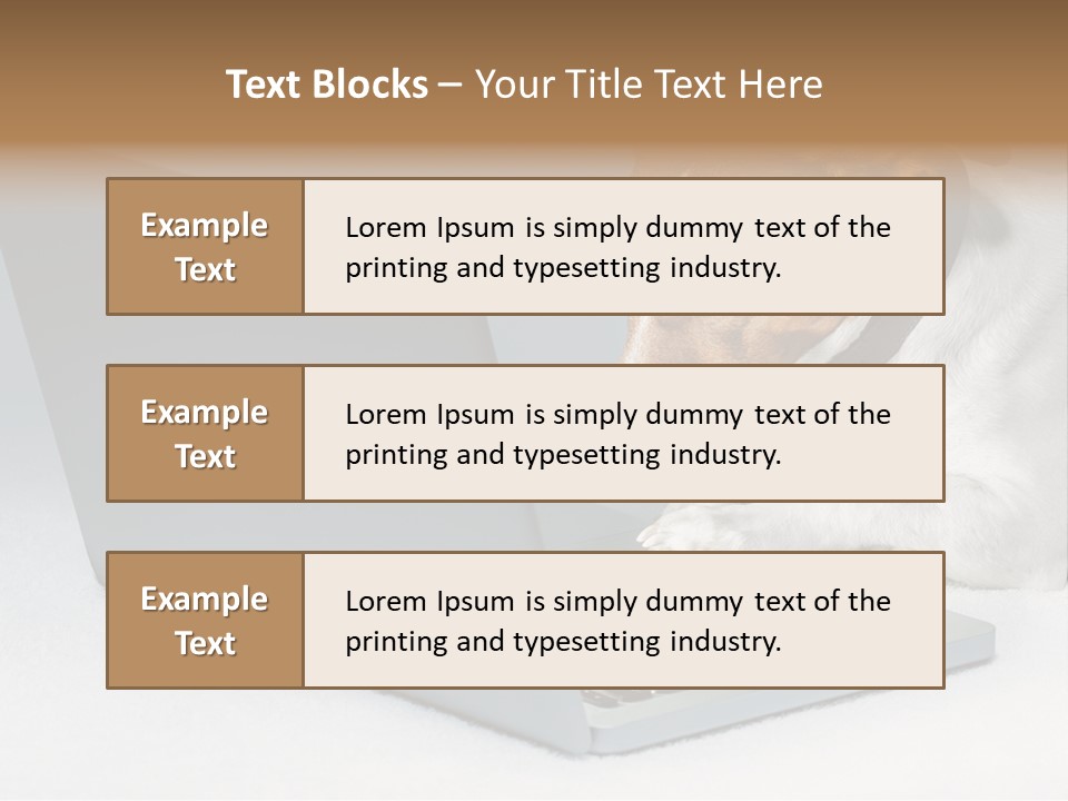 Cute Www Hacker PowerPoint Template