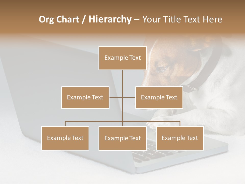 Cute Www Hacker PowerPoint Template