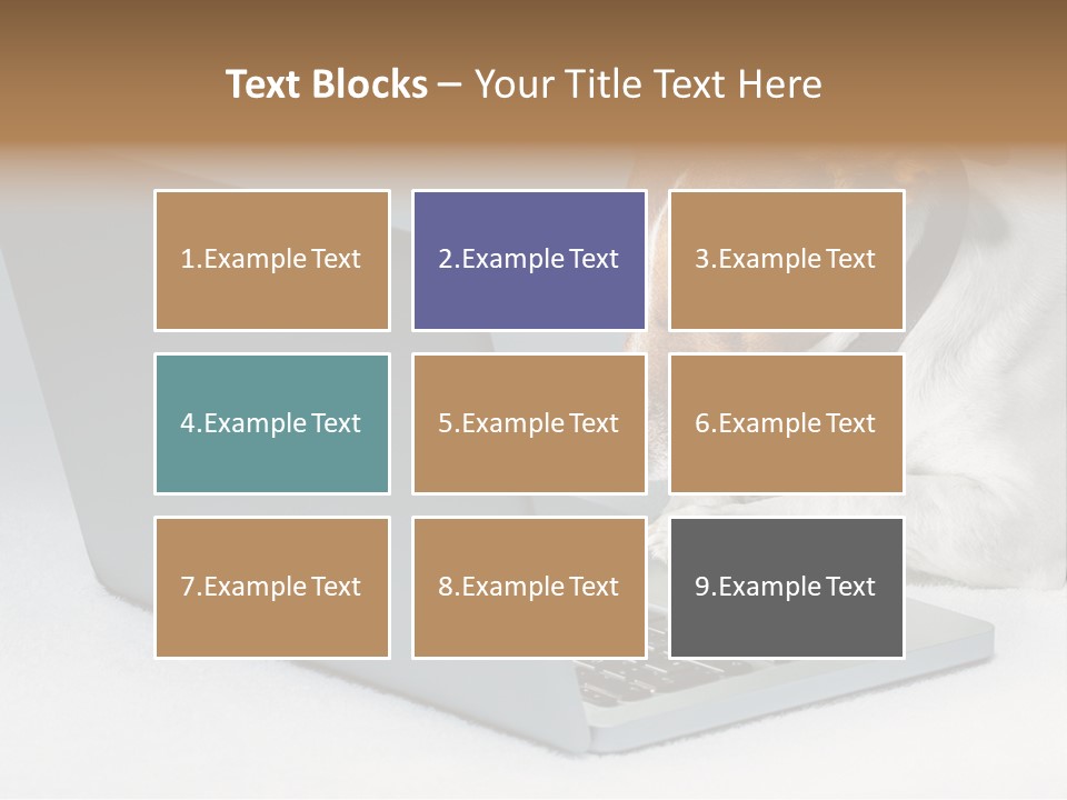 Cute Www Hacker PowerPoint Template
