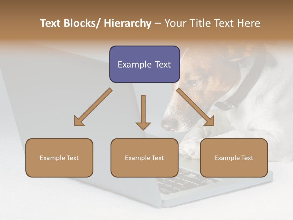 Cute Www Hacker PowerPoint Template