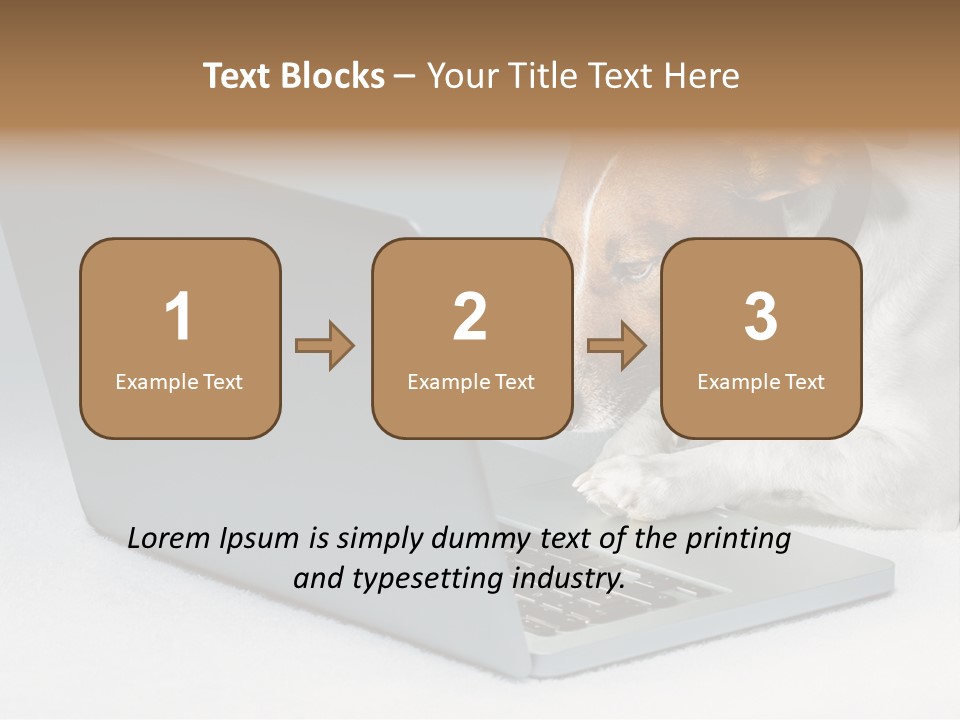 Cute Www Hacker PowerPoint Template