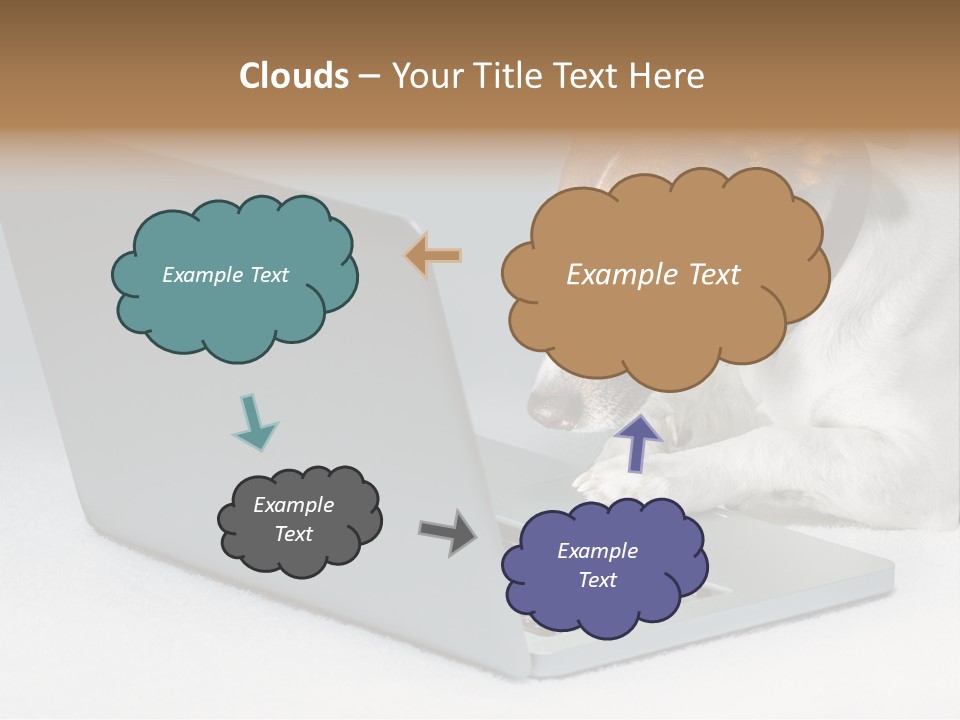 Cute Www Hacker PowerPoint Template