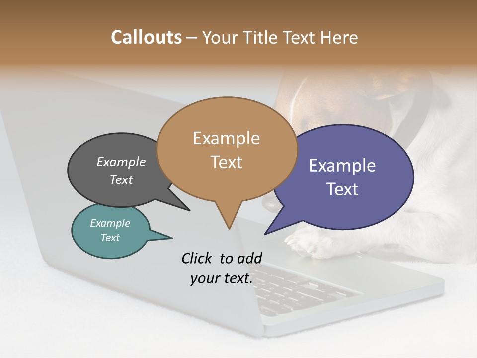 Cute Www Hacker PowerPoint Template