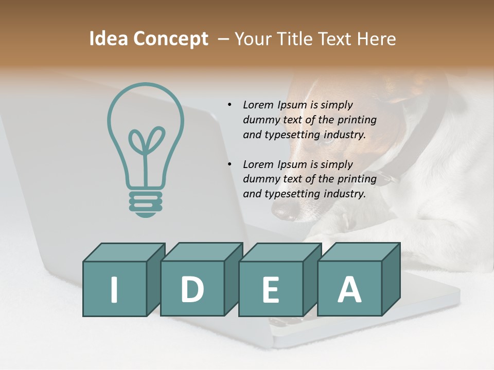 Cute Www Hacker PowerPoint Template