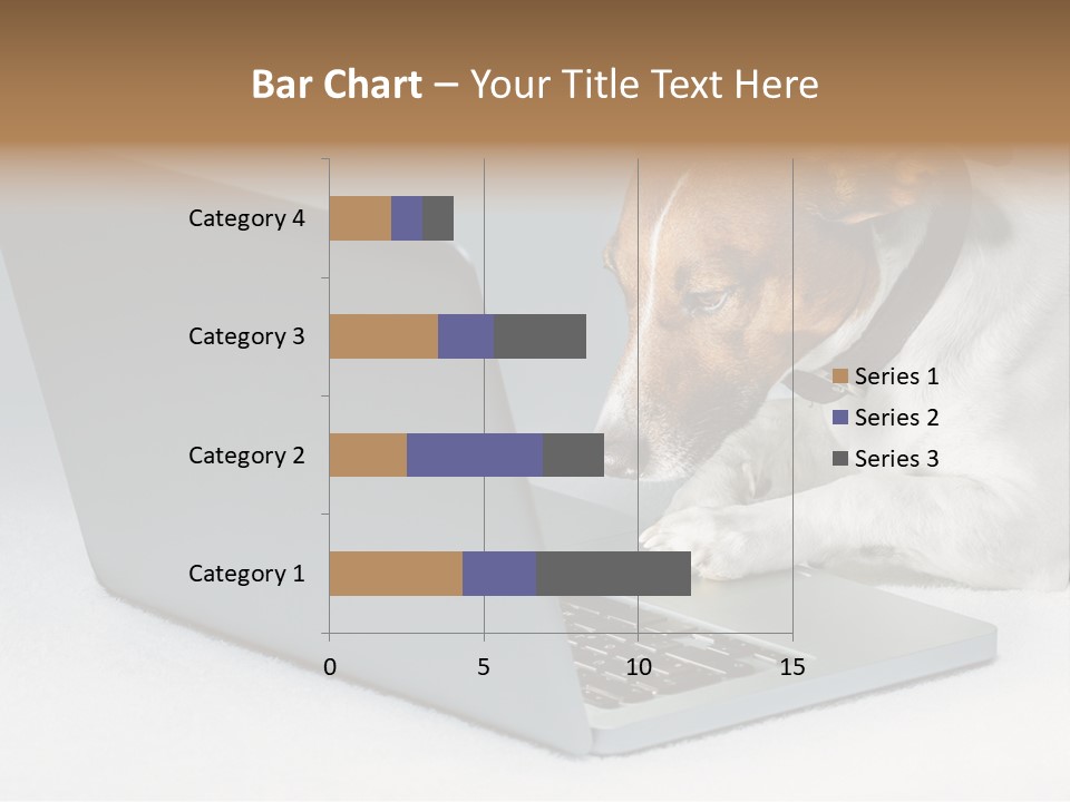 Cute Www Hacker PowerPoint Template