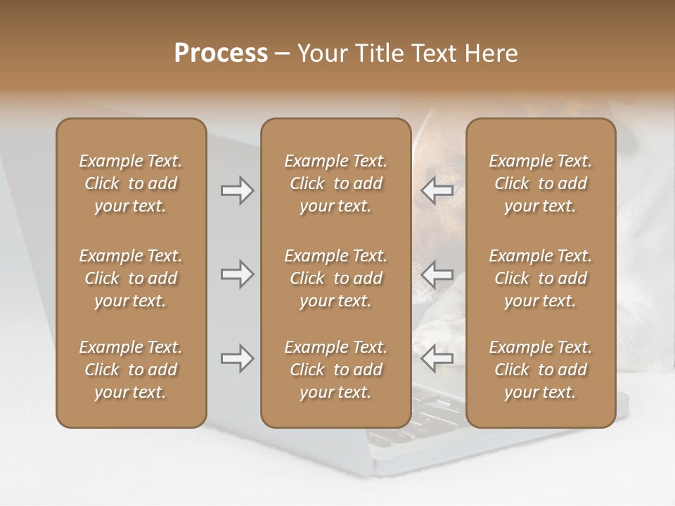 Cute Www Hacker PowerPoint Template