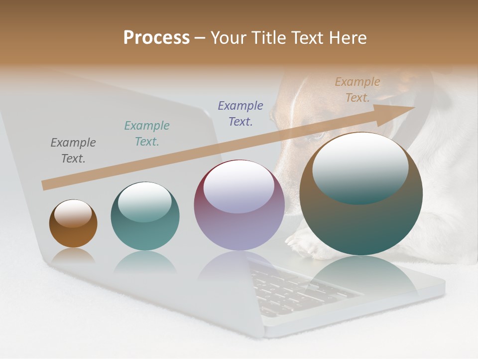 Cute Www Hacker PowerPoint Template