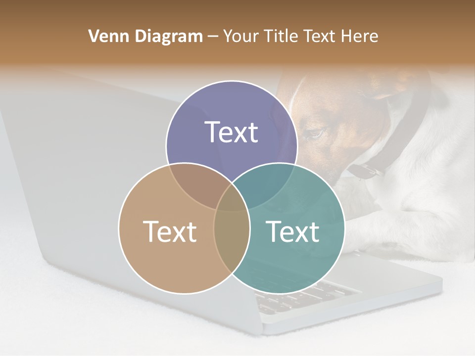 Cute Www Hacker PowerPoint Template