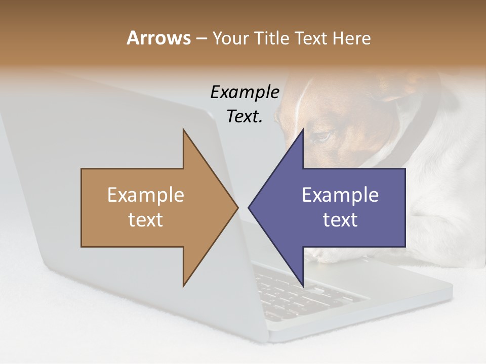 Cute Www Hacker PowerPoint Template