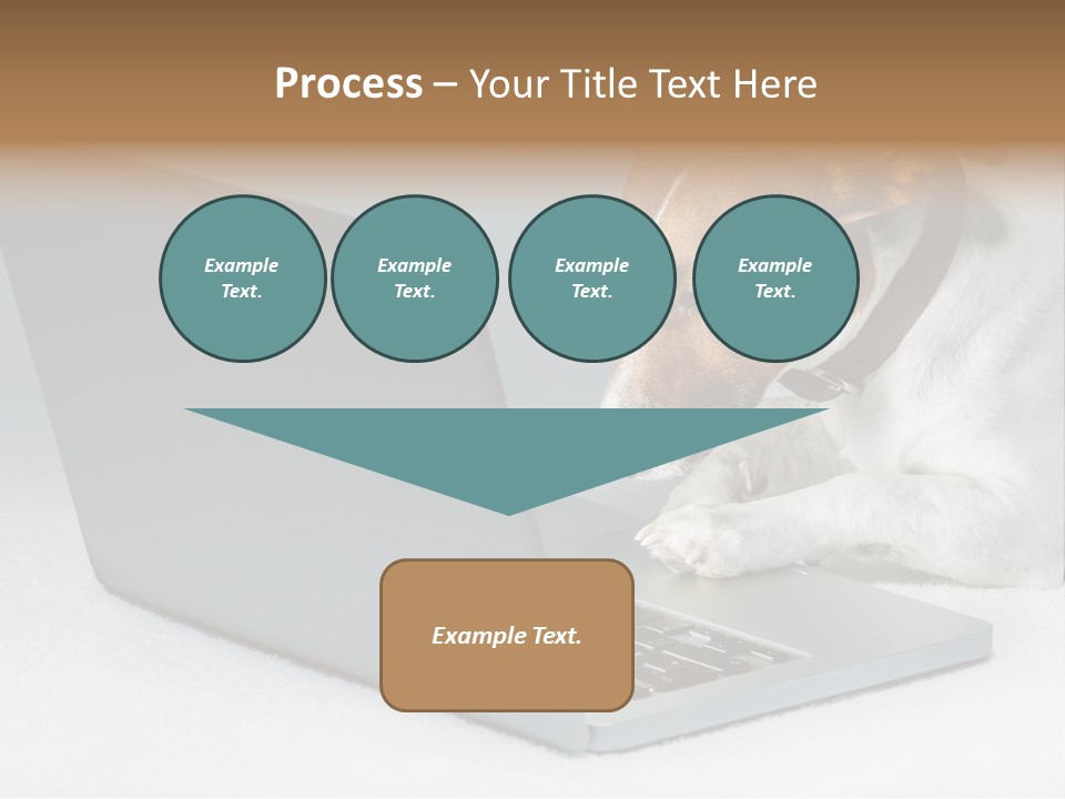 Cute Www Hacker PowerPoint Template