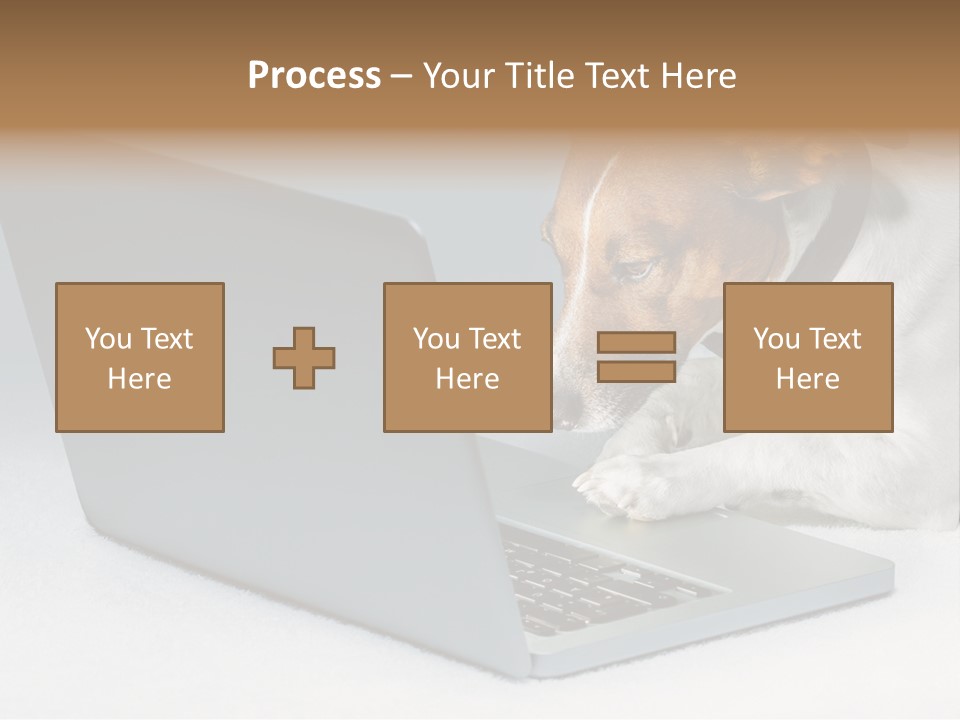 Cute Www Hacker PowerPoint Template