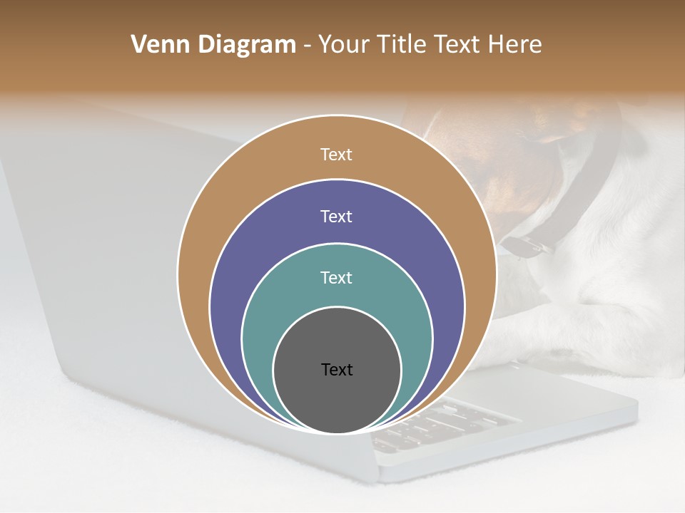 Cute Www Hacker PowerPoint Template