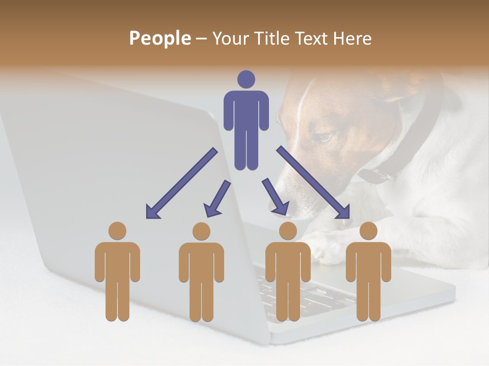 Cute Www Hacker PowerPoint Template