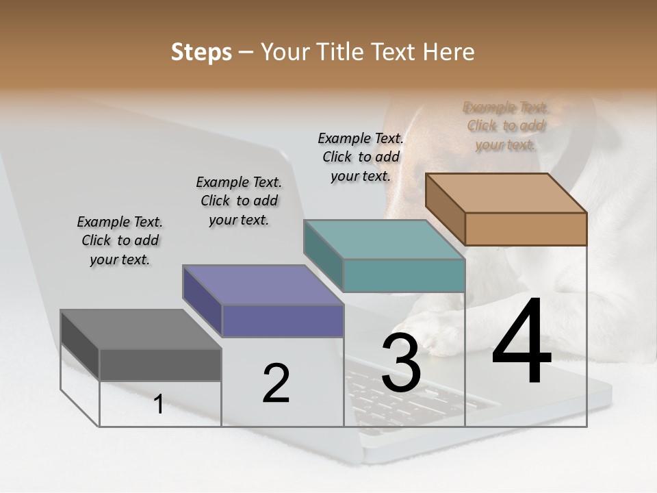 Cute Www Hacker PowerPoint Template