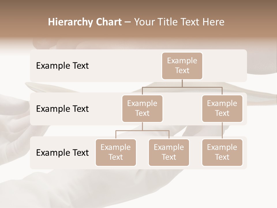 Osteopathy Heel Skeleton PowerPoint Template