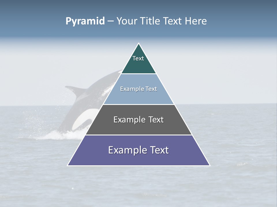 Pacific Washington Southern PowerPoint Template