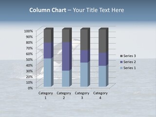 Pacific Washington Southern PowerPoint Template