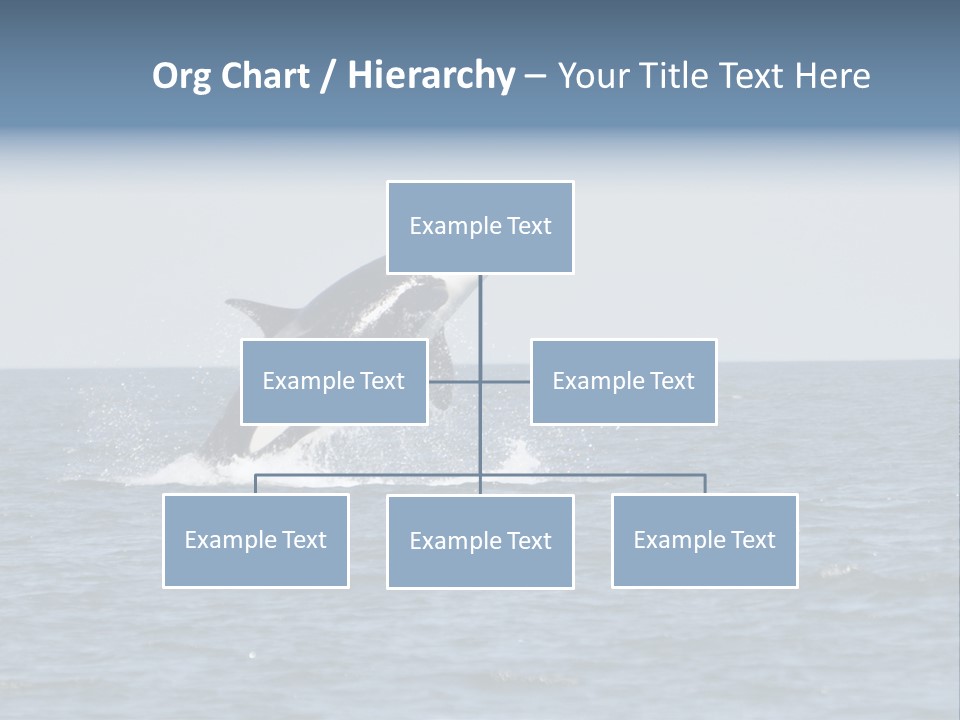 Pacific Washington Southern PowerPoint Template