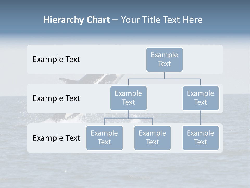 Pacific Washington Southern PowerPoint Template