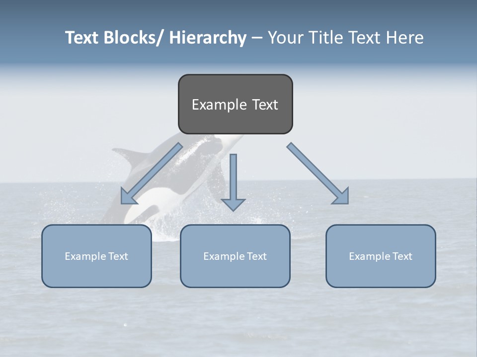 Pacific Washington Southern PowerPoint Template