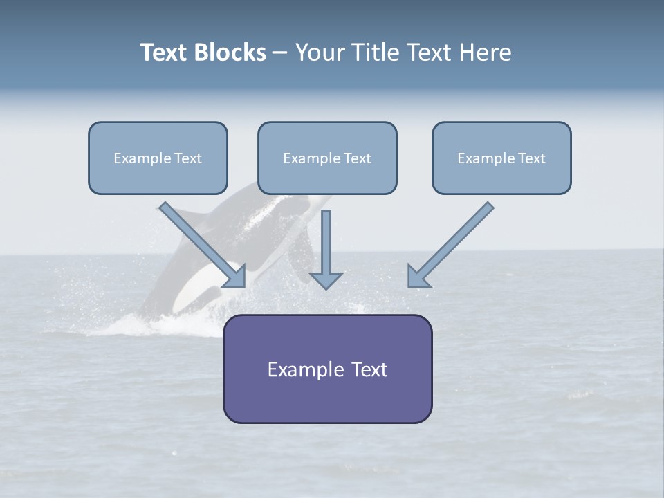 Pacific Washington Southern PowerPoint Template