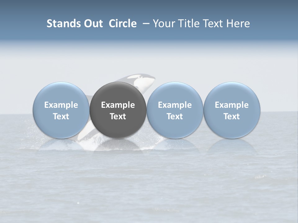 Pacific Washington Southern PowerPoint Template