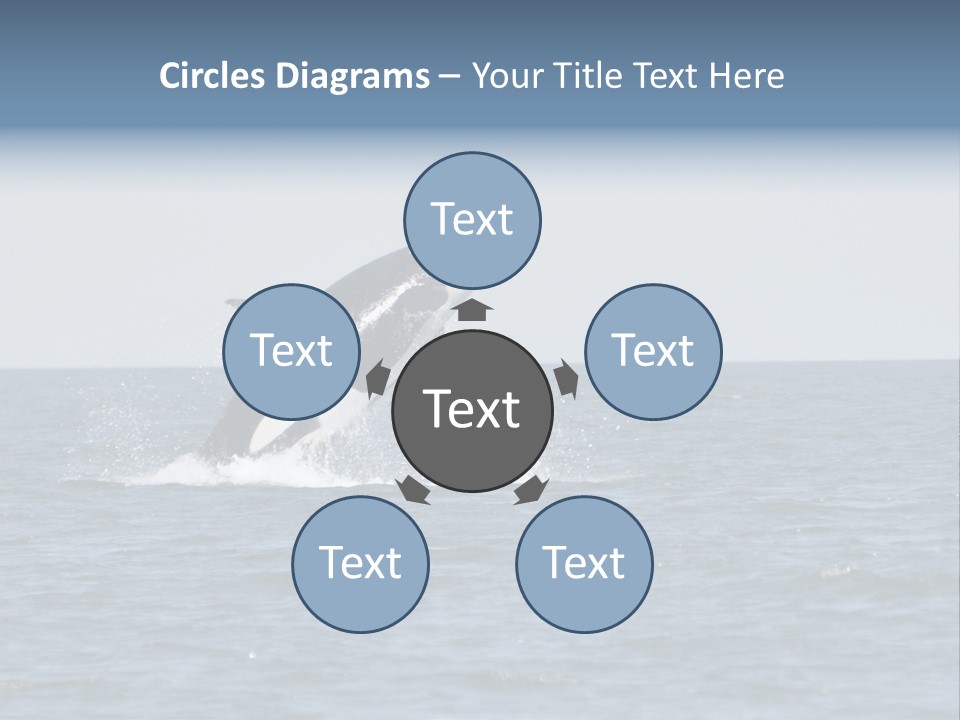 Pacific Washington Southern PowerPoint Template