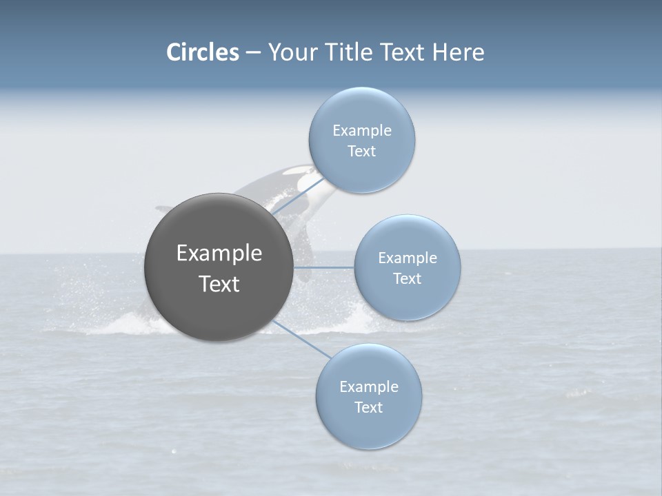Pacific Washington Southern PowerPoint Template