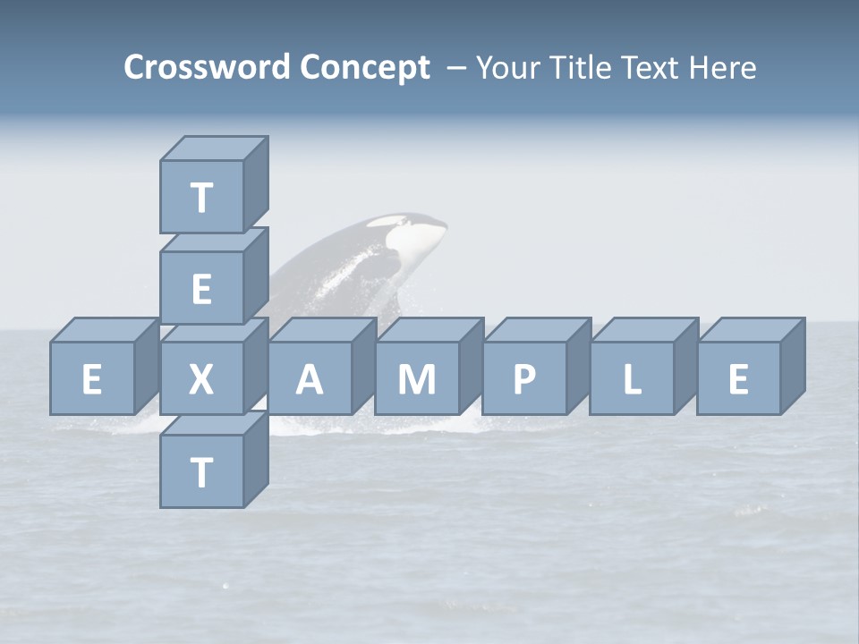 Pacific Washington Southern PowerPoint Template