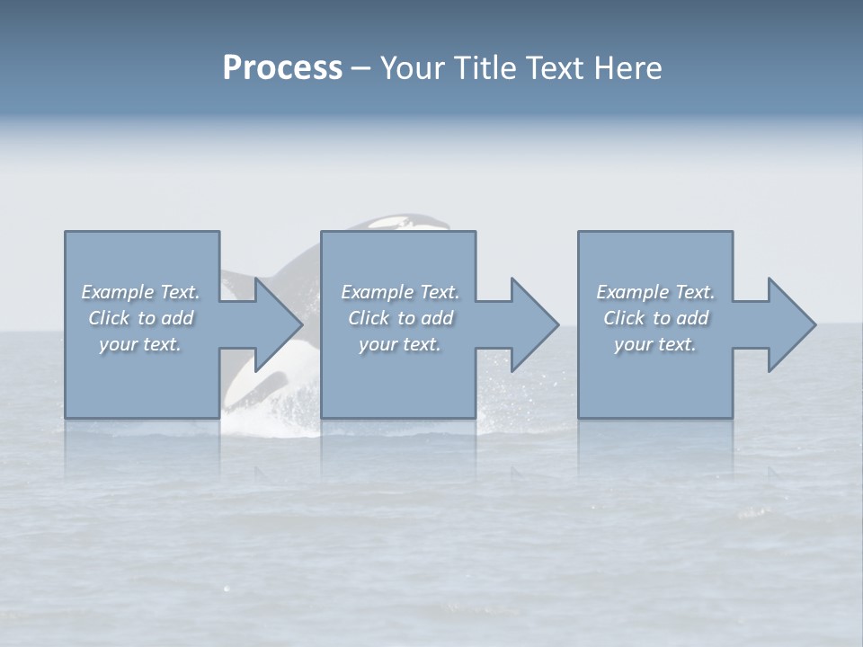 Pacific Washington Southern PowerPoint Template