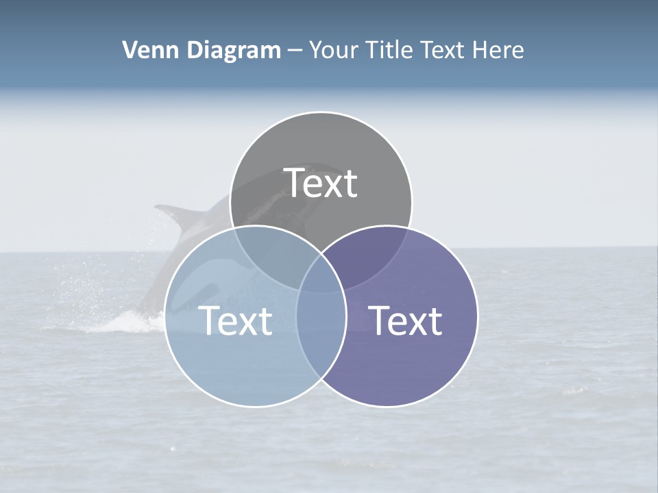 Pacific Washington Southern PowerPoint Template
